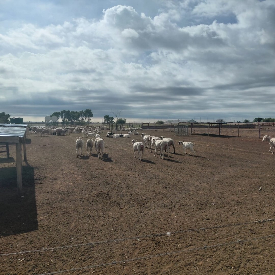 Commercial Property for Sale in Bainsvlei Free State